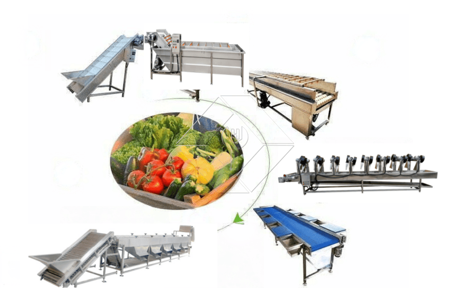 Die Verarbeitungskapazität der automatischen Obst- und Gemüsewasch-, Trocknungs- und Sortierlinie liegt im Allgemeinen zwischen 300 kg/h und 3000 kg/h.