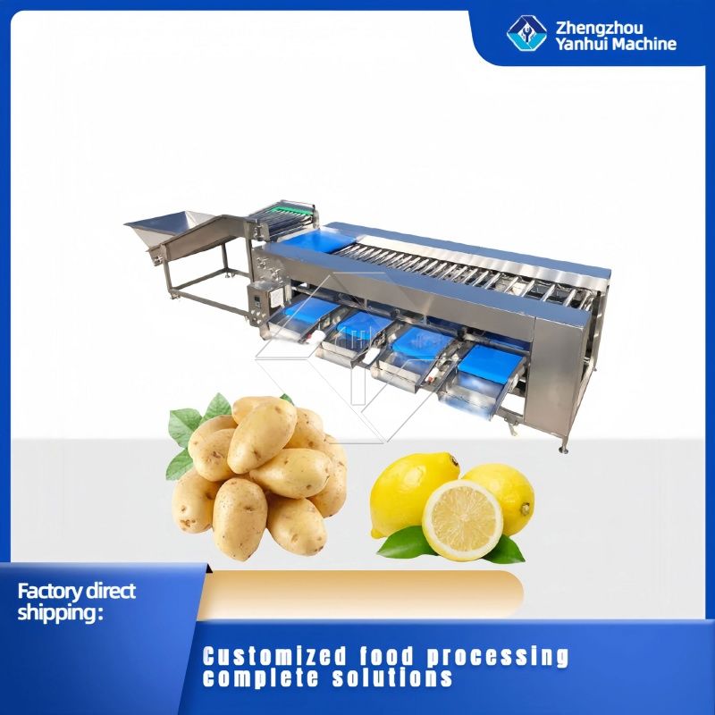 Gemüse-/Obstsortiermaschine Gemüse-/Obstsortiermaschine
