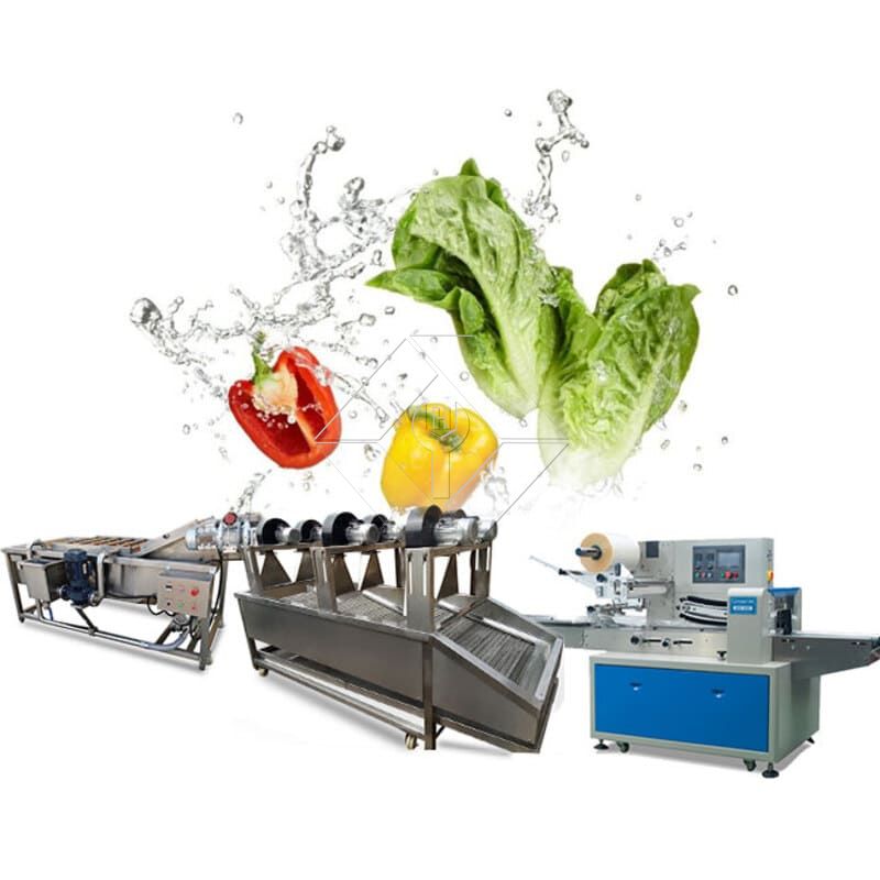 Produktionslinie für Gemüsesalat | Salatverarbeitungsanlage
