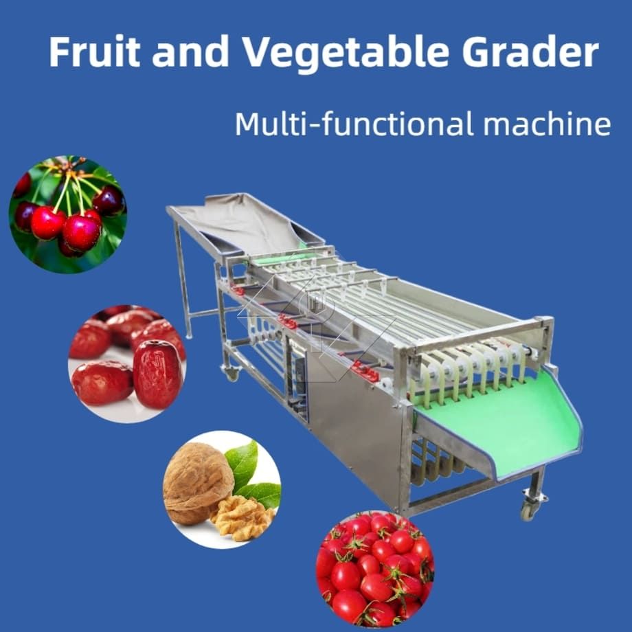 Kommerzielle automatische Sortiermaschine für Kirschtomaten, Knoblauch, Sortiermaschine, Obstklassifizierungssortiermaschine