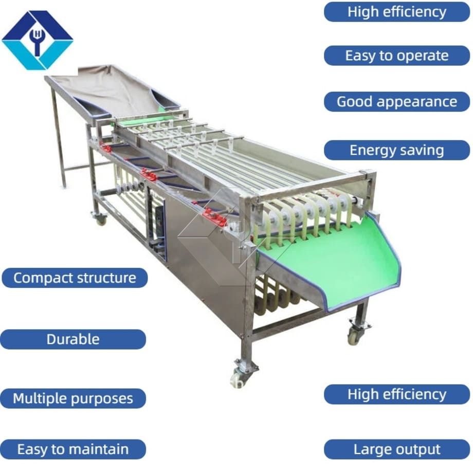 Kommerzielle automatische Sortiermaschine für Kirschtomaten, Knoblauch, Sortiermaschine, Obstklassifizierungssortiermaschine