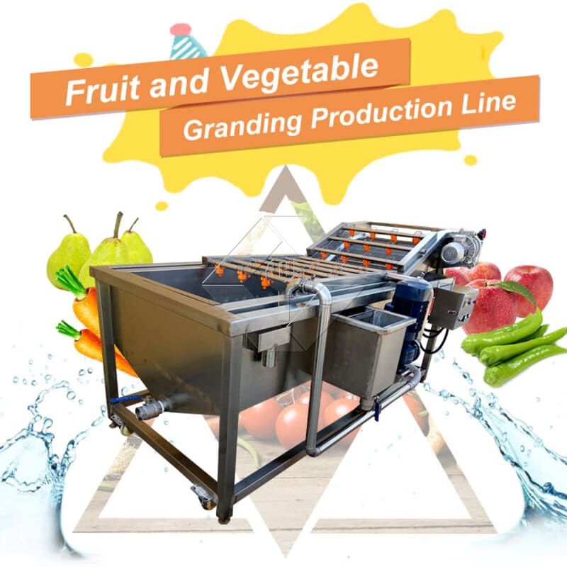 Produktionslinie für Gemüsesalat | Salatverarbeitungsanlage