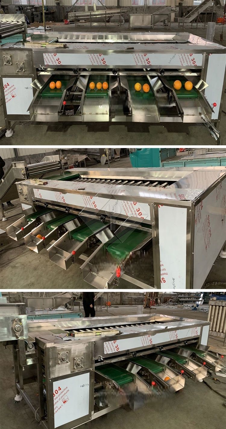 Gemüse-/Obstsortiermaschine Gemüse-/Obstsortiermaschine