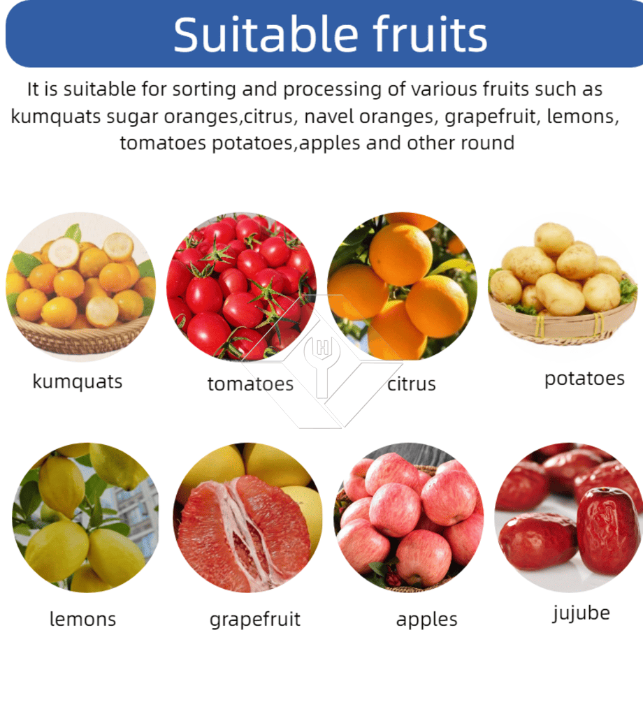 Kommerzielle automatische Sortiermaschine für Kirschtomaten, Knoblauch, Sortiermaschine, Obstklassifizierungssortiermaschine