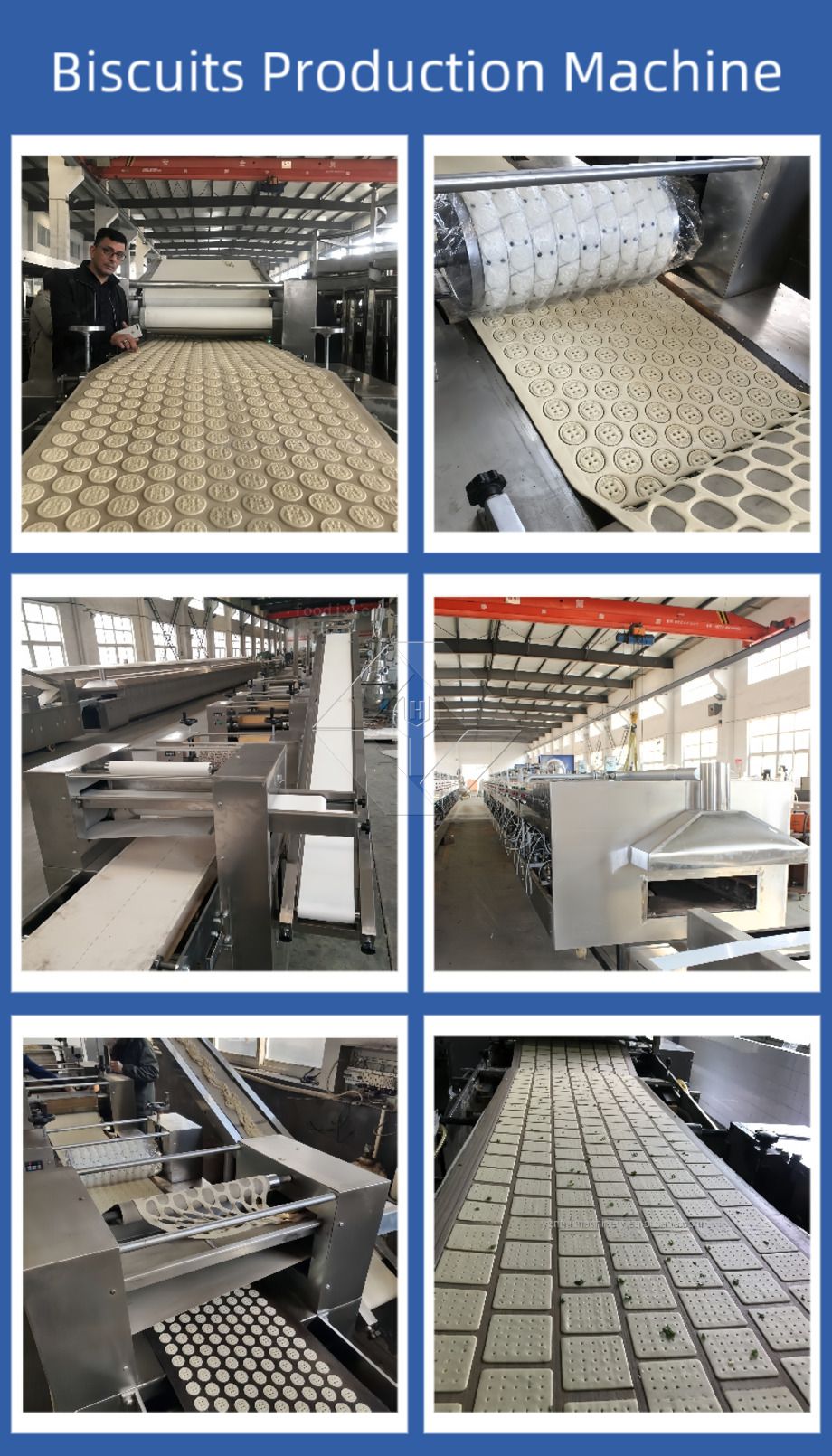 Automatische Keksmaschine | Produktionslinie für knusprige und harte Kekse | Industrielle Keksausrüstung