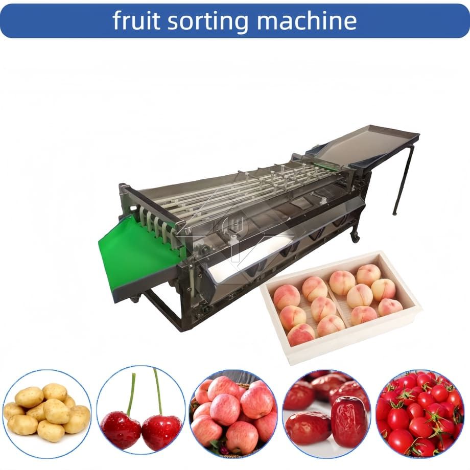 Kommerzielle automatische Sortiermaschine für Kirschtomaten, Knoblauch, Sortiermaschine, Obstklassifizierungssortiermaschine