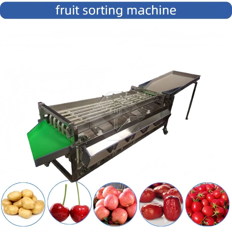 Kommerzielle automatische Sortiermaschine für Kirschtomaten, Knoblauch, Sortiermaschine, Obstklassifizierungssortiermaschine Kommerzielle automatische Sortiermaschine für Kirschtomaten, Knoblauch, Sortiermaschine, Obstklassifizierungssortiermaschine