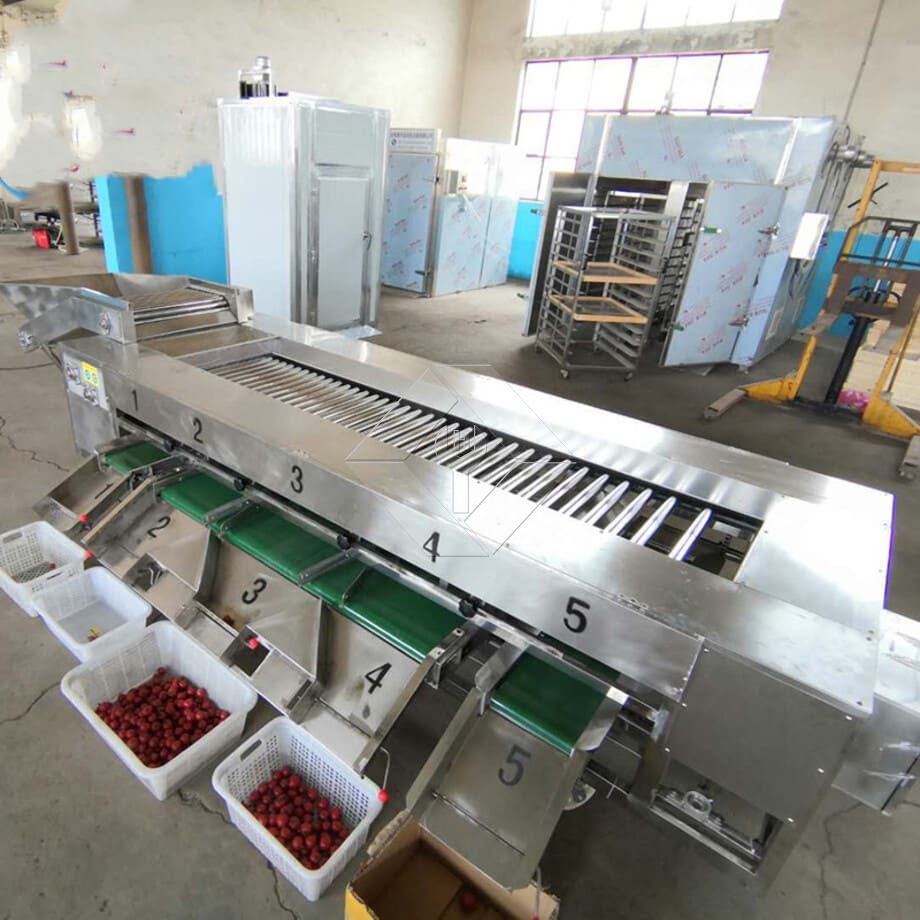Die Verarbeitungskapazität der automatischen Obst- und Gemüsewasch-, Trocknungs- und Sortierlinie liegt im Allgemeinen zwischen 300 kg/h und 3000 kg/h.