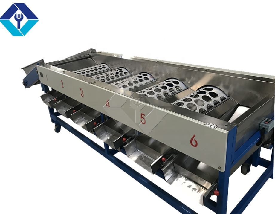 Die Verarbeitungskapazität der automatischen Obst- und Gemüsewasch-, Trocknungs- und Sortierlinie liegt im Allgemeinen zwischen 300 kg/h und 3000 kg/h.
