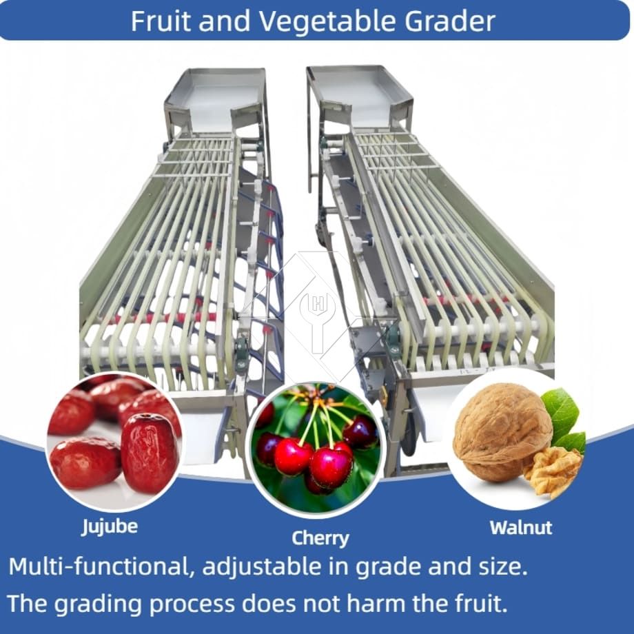 Kommerzielle automatische Sortiermaschine für Kirschtomaten, Knoblauch, Sortiermaschine, Obstklassifizierungssortiermaschine