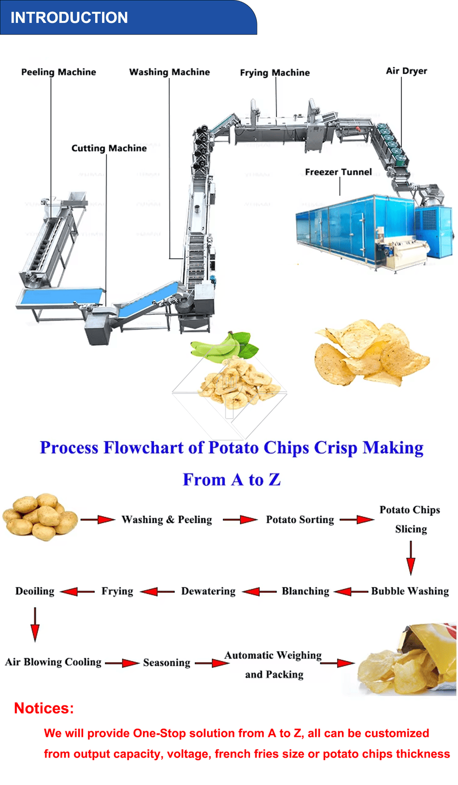Automatische Produktionslinie für gebratene Pommes Frites in großem Maßstab