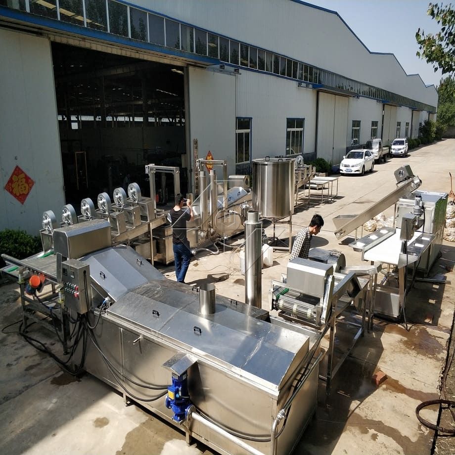 Fabrikpreis 100-1000 kg automatische Produktionslinie für gefrorene Pommes-Frites-Kartoffelchips zum Verkauf