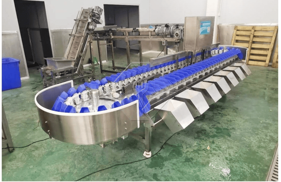 Die Verarbeitungskapazität der automatischen Obst- und Gemüsewasch-, Trocknungs- und Sortierlinie liegt im Allgemeinen zwischen 300 kg/h und 3000 kg/h.