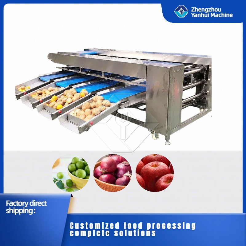 Gemüse-/Obstsortiermaschine Gemüse-/Obstsortiermaschine