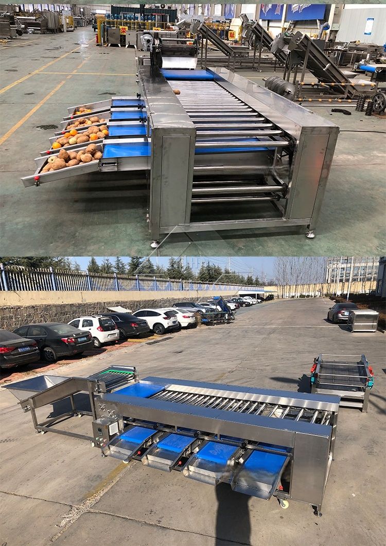 Gemüse-/Obstsortiermaschine Gemüse-/Obstsortiermaschine