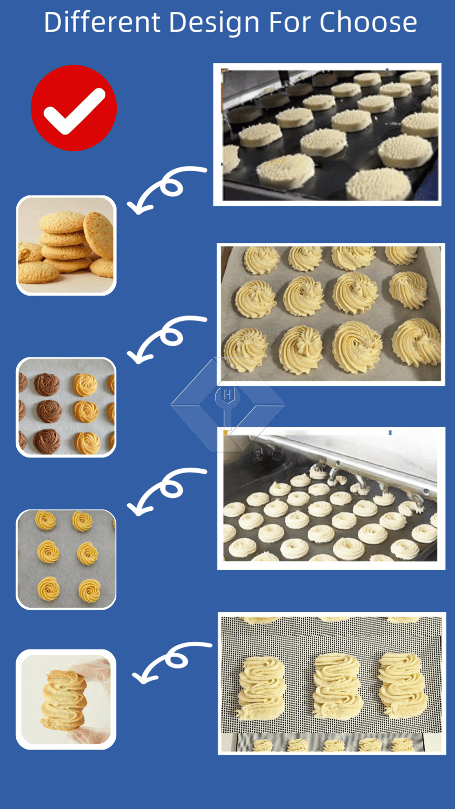 Automatische Maschine zur Herstellung geformter Kekse mit austauschbaren Matrizen für die individuelle Herstellung von Keksen und den industriellen Einsatz mit hoher Produktivität Automatische Maschine zur Herstellung geformter Kekse mit austauschbaren Matrizen für die individuelle Herstellung von Keksen und den industriellen Einsatz mit hoher Produktivität