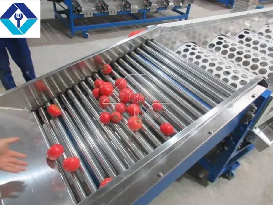 Die Verarbeitungskapazität der automatischen Obst- und Gemüsewasch-, Trocknungs- und Sortierlinie liegt im Allgemeinen zwischen 300 kg/h und 3000 kg/h.
