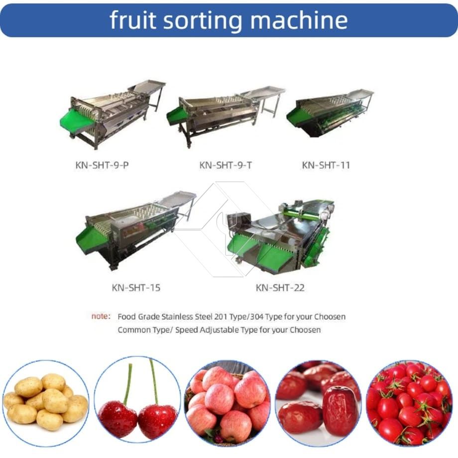 Kommerzielle automatische Sortiermaschine für Kirschtomaten, Knoblauch, Sortiermaschine, Obstklassifizierungssortiermaschine Kommerzielle automatische Sortiermaschine für Kirschtomaten, Knoblauch, Sortiermaschine, Obstklassifizierungssortiermaschine