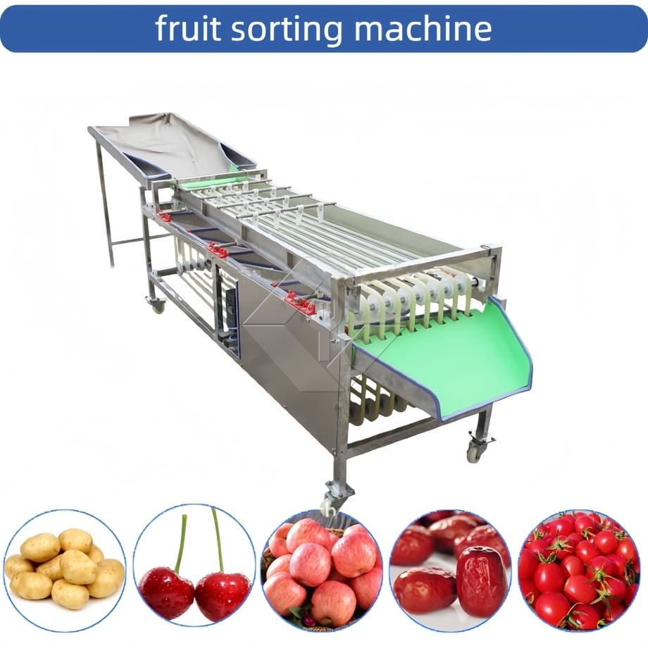 Kommerzielle automatische Sortiermaschine für Kirschtomaten, Knoblauch, Sortiermaschine, Obstklassifizierungssortiermaschine