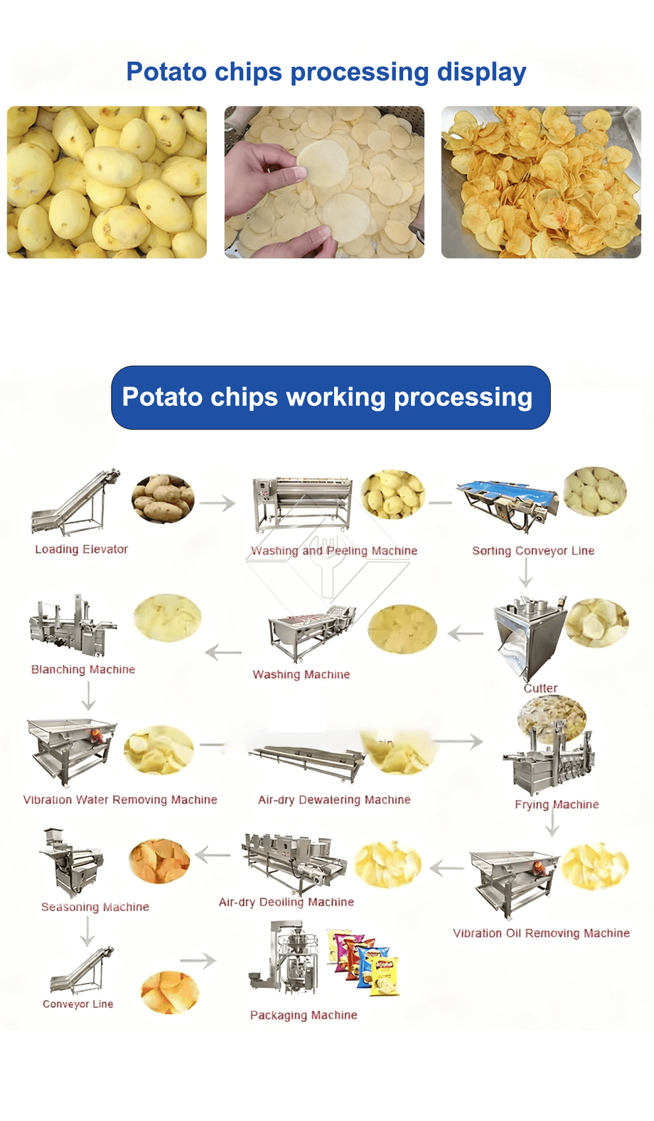 Automatische Produktionslinie für gebratene Pommes Frites in großem Maßstab