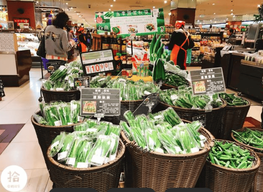 Produktionslinie für Gemüsesalat | Salatverarbeitungsanlage