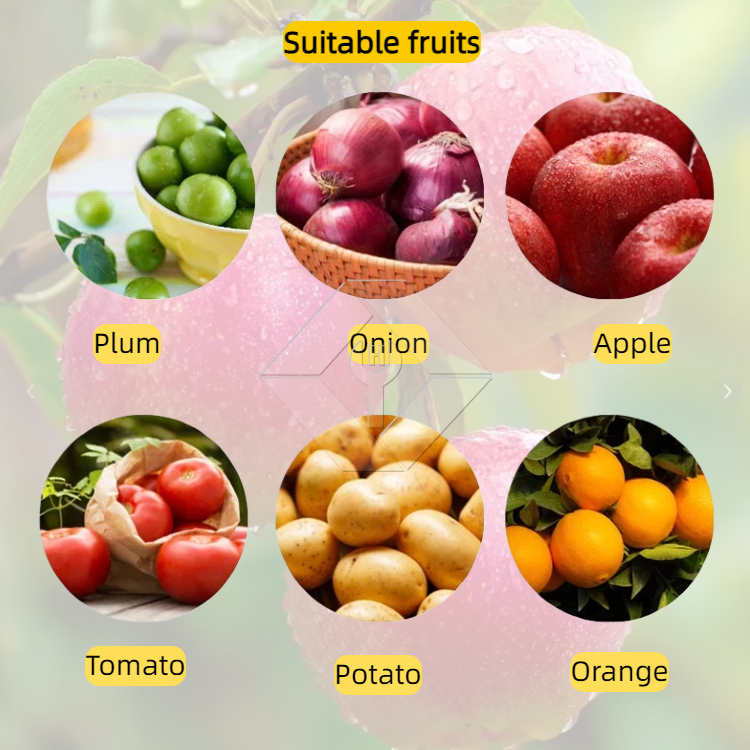 Gemüse-/Obstsortiermaschine Gemüse-/Obstsortiermaschine