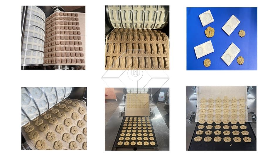 Walnuss-Kuchen-Rollenformmaschine, Pfirsich-Knusperkekse, Italien-Keksherstellungsmaschine, Haferkekse-Herstellungsformmaschine Walnuss-Kuchen-Rollenformmaschine, Pfirsich-Knusperkekse, Italien-Keksherstellungsmaschine, Haferkekse-Herstellungsformmaschine