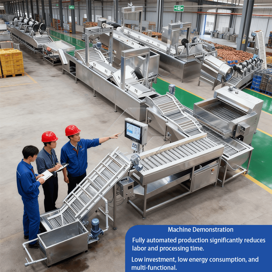 Automatische Produktionslinie für gebratene Pommes Frites in großem Maßstab