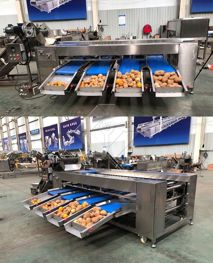 Gemüse-/Obstsortiermaschine Gemüse-/Obstsortiermaschine