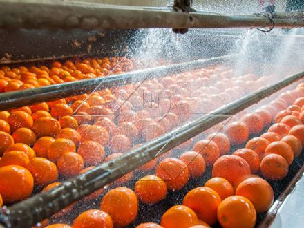 Die Verarbeitungskapazität der automatischen Obst- und Gemüsewasch-, Trocknungs- und Sortierlinie liegt im Allgemeinen zwischen 300 kg/h und 3000 kg/h.