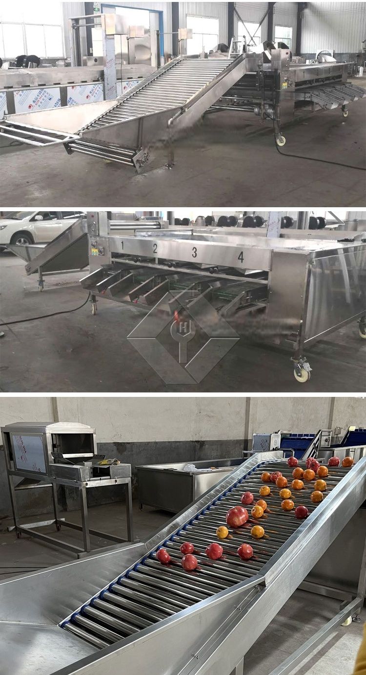 Gemüse-/Obstsortiermaschine Gemüse-/Obstsortiermaschine
