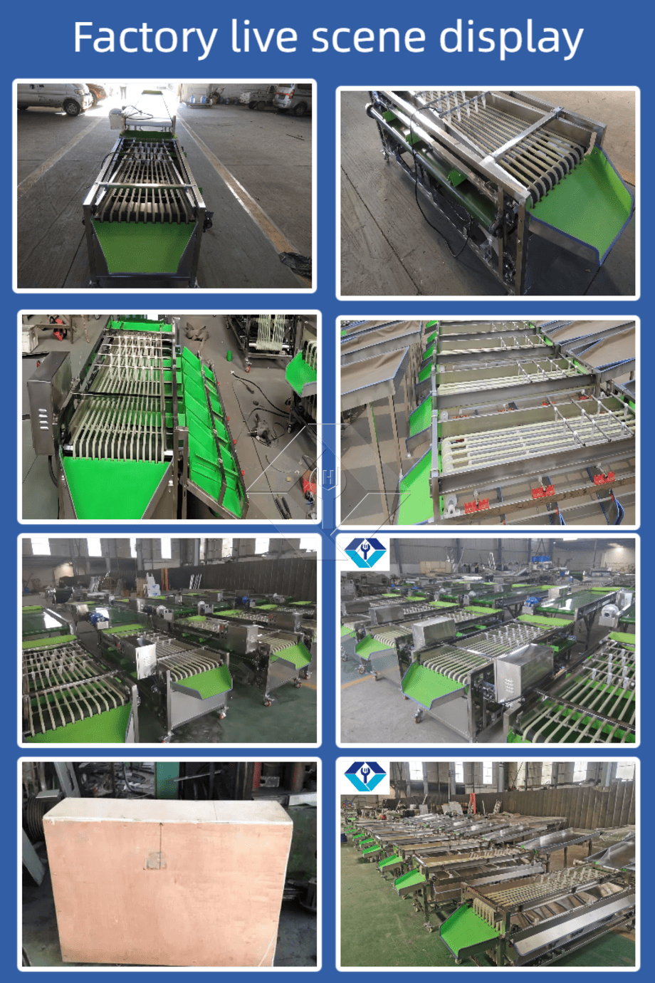 Kommerzielle automatische Sortiermaschine für Kirschtomaten, Knoblauch, Sortiermaschine, Obstklassifizierungssortiermaschine Kommerzielle automatische Sortiermaschine für Kirschtomaten, Knoblauch, Sortiermaschine, Obstklassifizierungssortiermaschine