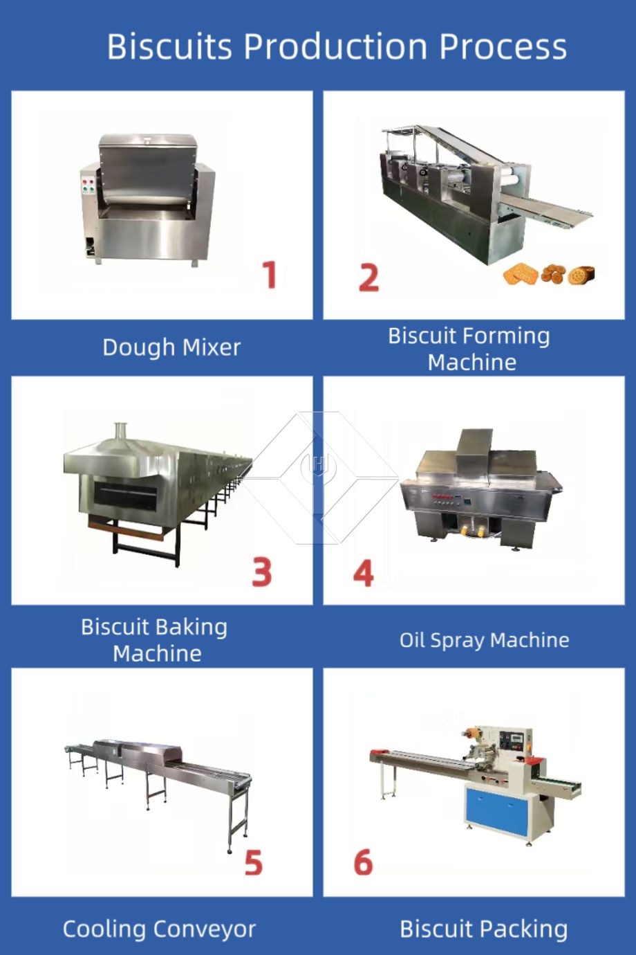Automatische Keksmaschine | Produktionslinie für knusprige und harte Kekse | Industrielle Keksausrüstung