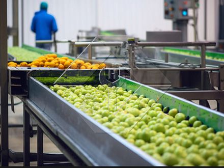 Die Verarbeitungskapazität der automatischen Obst- und Gemüsewasch-, Trocknungs- und Sortierlinie liegt im Allgemeinen zwischen 300 kg/h und 3000 kg/h.