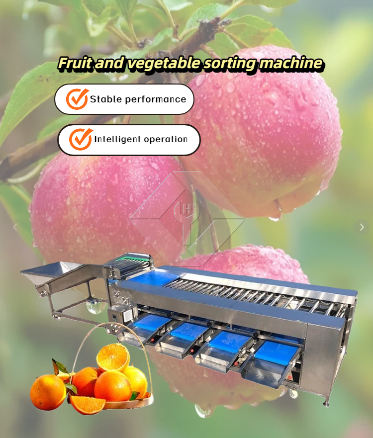 Gemüse-/Obstsortiermaschine Gemüse-/Obstsortiermaschine