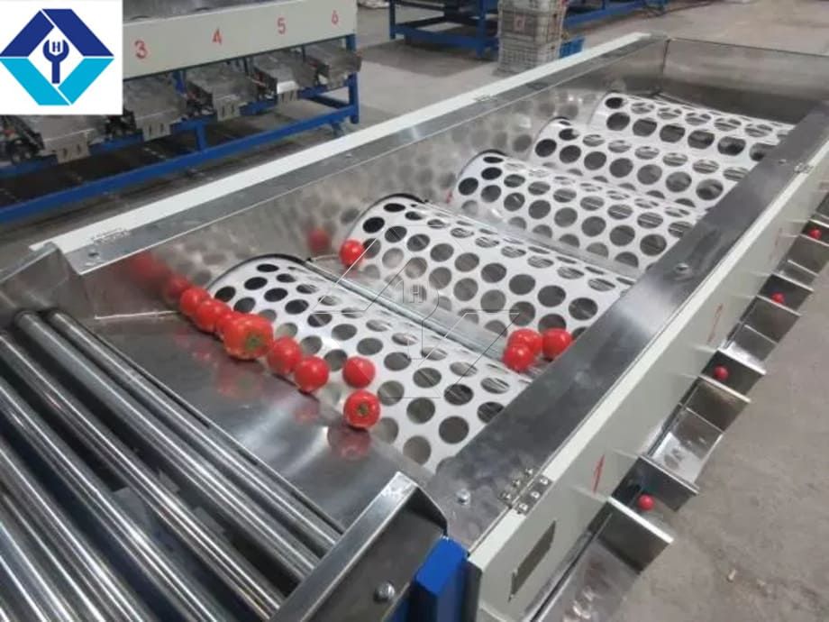 Die Verarbeitungskapazität der automatischen Obst- und Gemüsewasch-, Trocknungs- und Sortierlinie liegt im Allgemeinen zwischen 300 kg/h und 3000 kg/h.